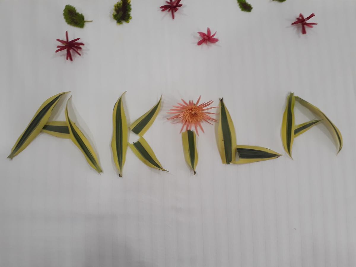 Akila Holiday Resort ハバラナ エクステリア 写真