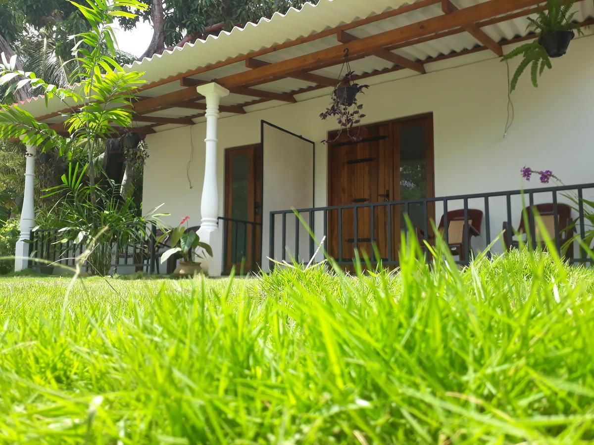 Akila Holiday Resort ハバラナ エクステリア 写真