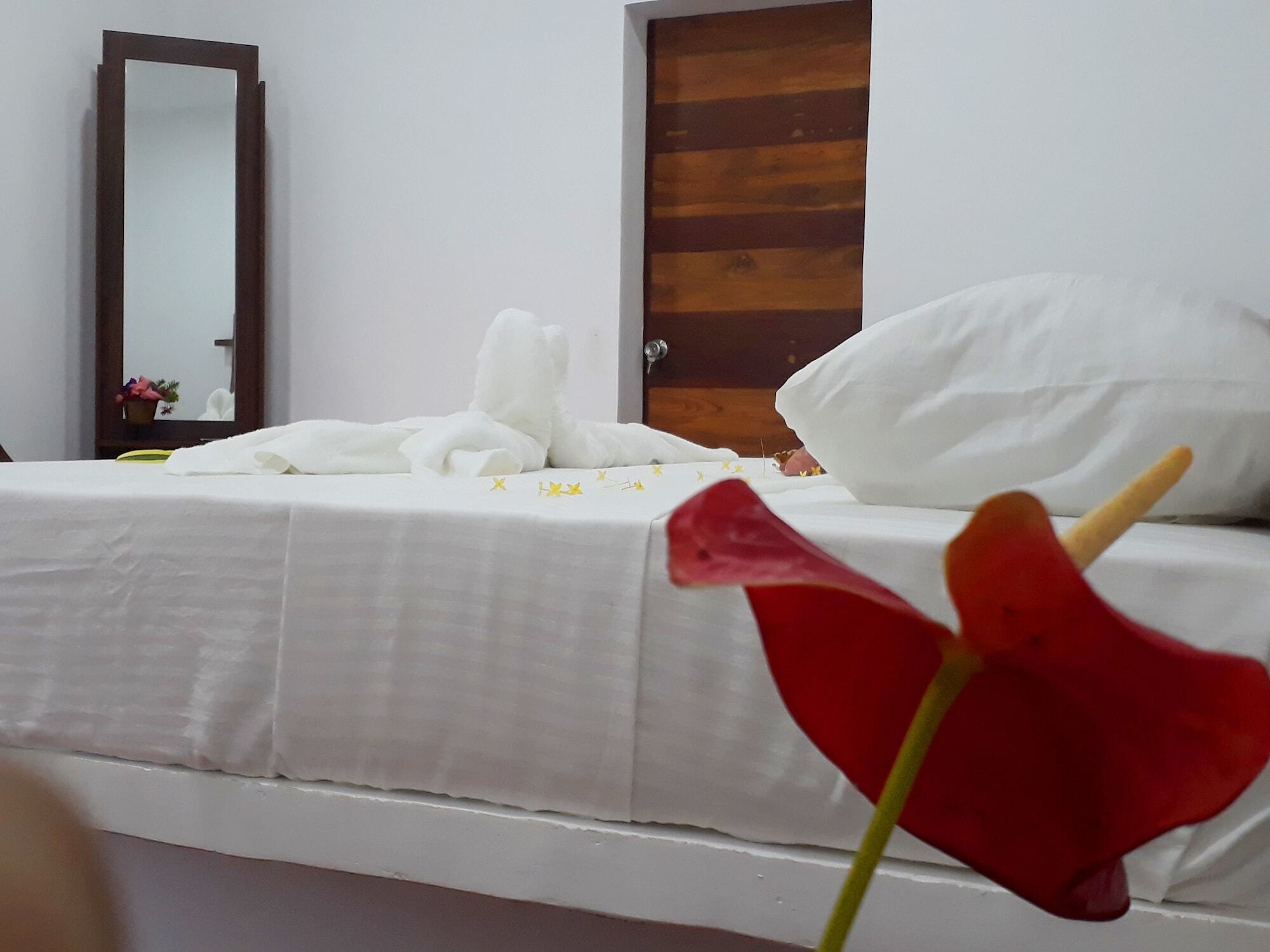 Akila Holiday Resort ハバラナ エクステリア 写真